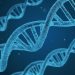 Sebuah studi baru menunjukkan bahwa DNA manusia dari nenek moyang misterius yang bahkan lebih tua dari yang dibayangkan.