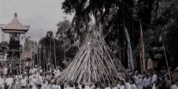 Tradisi “Ngerebeg” di Munggu, Penghormatan Terhadap Pasukan “Goak Selem”