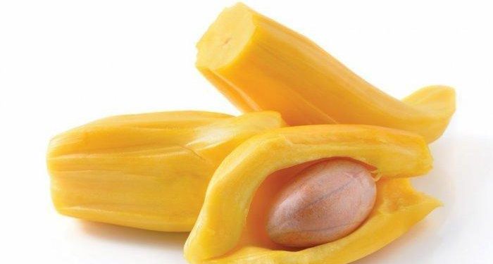 Manfaat Biji Nangka Bagi Kesehan Tubuh