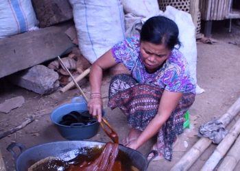Nyaris Punah, Bupati Buleleng Ajak Warga Tanam Pohon Aren
