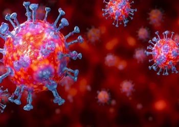 Angka Kesembuhan Naik, Badung Hanya Menirama 6 Kasus Covid-19