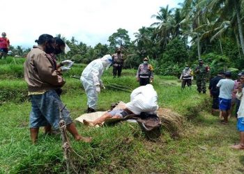 Karena Kelelahan Bajak Sawah, Petani Ini Meninggal Dunia di Tempat