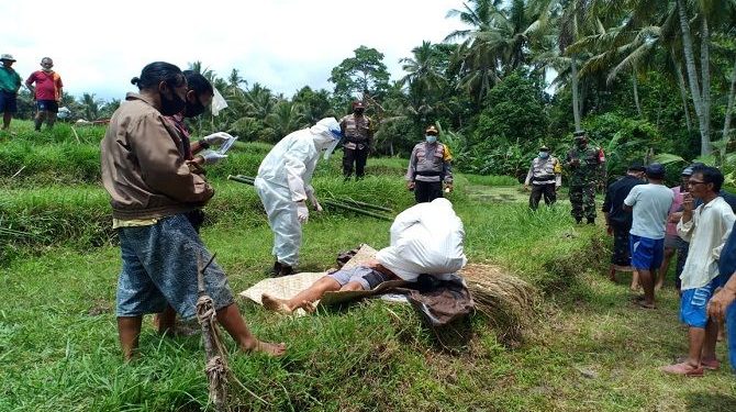 Karena Kelelahan Bajak Sawah, Petani Ini Meninggal Dunia di Tempat