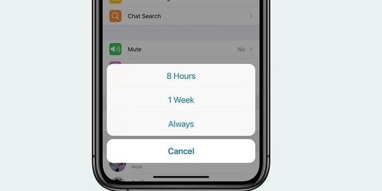5 Fitur Baru Whatsapp Yang Rilis Di tahun 2020 Dan Cara Mengoprasikan