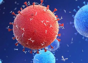 4 Hal Yang Harus anda Ketahui Tentang Rapid Test Antigen