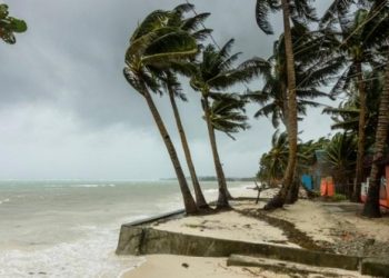 BPBD Denpasar Himbau Masyarakat Untuk Waspada Angin Kencang