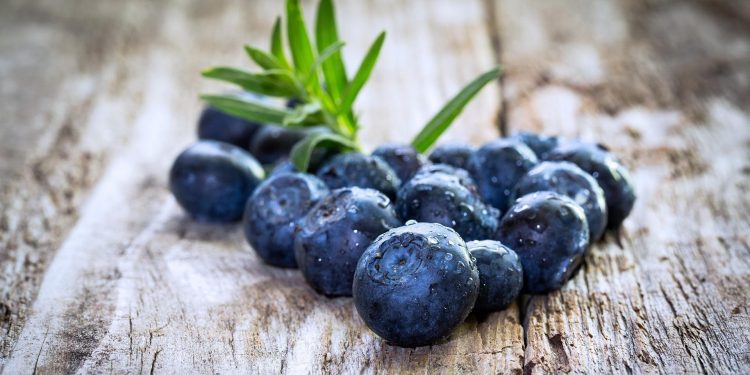Menyimpan Banyak Manfaat, Yuk Intip! Manfaat Konsumsi Blueberry