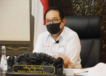 Papar Inovasi Pariwisata Bali, Wagub Cok Ace Ikuti Rapat Dengar Pendapat Bersama BLUD DPD RI