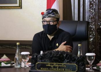 Wagub Cok Ace Paparkan Kesiapan Bali Buka Pintu Masuk Internasional