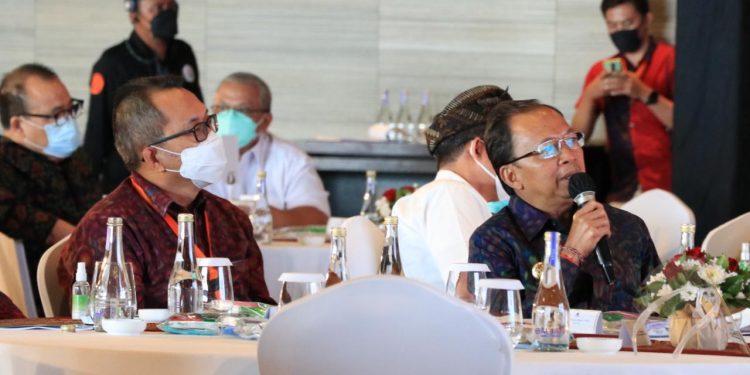 Upaya Pemulihan Ekonomi, Gubernur Koster Minta Pusat Keluarkan Kebijakan Spesifik