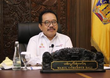 Wagub Cok Ace Ajak BPPD Se-Indonesia Bersinergi Untuk Pulihkan Pariwisata