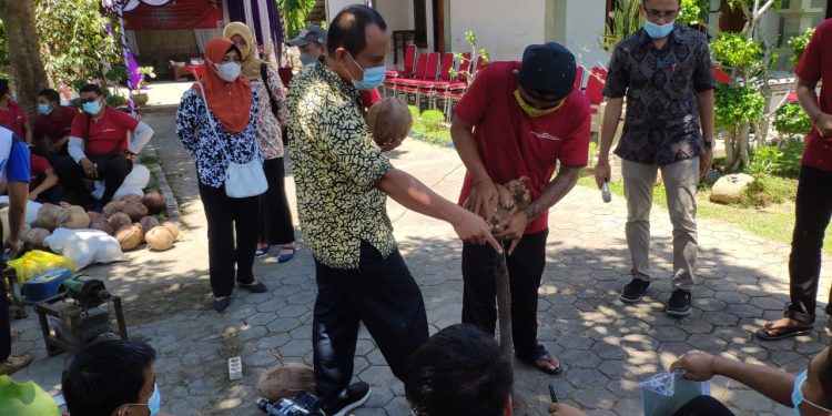 Tingkatkan Daya Saing, Disperindag Bali Gelar Bimtek Pengolahan Buah Kelapa di Gerokgak