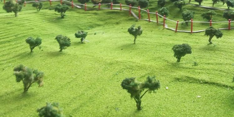 Eiger Adventure Land Bogor yang Punya Jembatan Gantung Terpanjang