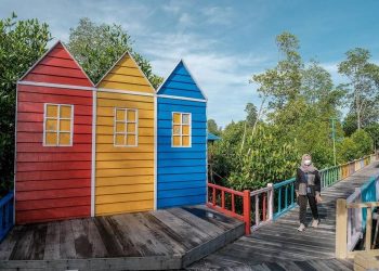 Taman Mangrove Klawalu Sorong, Pertama di Papua
