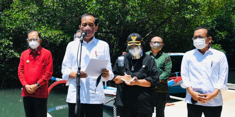 Pemerintah Akan Terus Replikasi Model Rehabilitasi Mangrove di Provinsi Lain