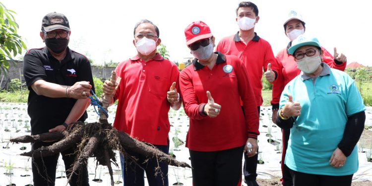 Gubernur Koster Ajak Stop Impor Beras & Garam di Hari Pangan Se-Dunia Tingkat Daerah Provinsi Bali Ke-41