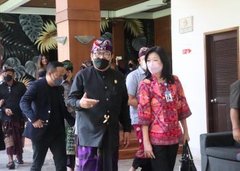 Melalui Bali STARTUP SUMMIT, Wagub Cok Ace Harap Bali Menjadi Pulau Digital Setelah Jawa
