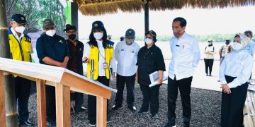 Presiden: Hutan Mangrove Bentuk Komitmen Indonesia dalam Perubahan Iklim