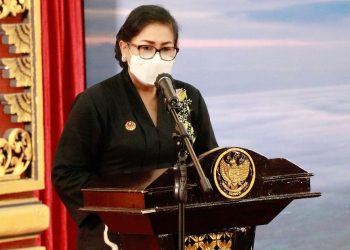 Hadiri Webinar Pengembangan UMKM, Ny Putri Koster: Sektor IKM & UMKM bagaikan lilin Di Kegelapan