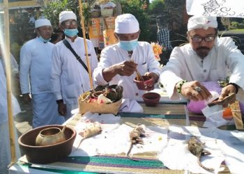 Ngaben Bikul Atau Ngaben Tikus, Tradisi Desa Adat Bedha Tabanan
