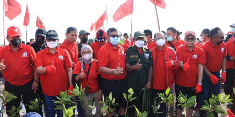 Bertepatan Dengan Hut PDI Perjuangan,Gubernur Koster & Sekjen DPP PDIP Pimpin Penanaman 21 Ribu Mangrove di Bali