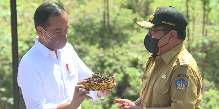 Pemprov Bali Ambil Tanah dan Air Suci dari Pura Pusering Jagat Untuk IKN Nusantara