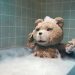 Film Ted Dikembangkan Jadi Serial Prekuel