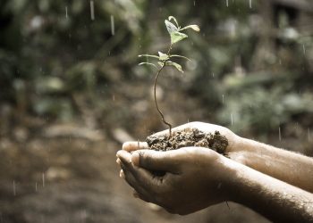 Zodiak Ini Bakal Dilanda Hujan Rezeki di Bulan Agustus 2022