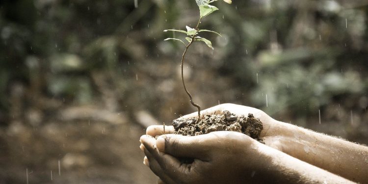 Zodiak Ini Bakal Dilanda Hujan Rezeki di Bulan Agustus 2022