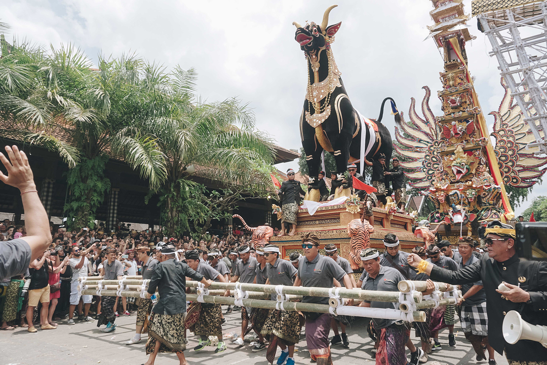 Kenali Makna Lembu Dalam Upacara Ngaben Di Bali