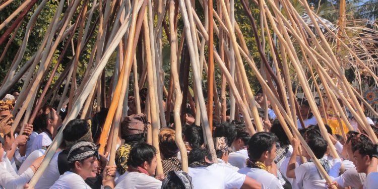 Mekotek, Tradisi Turun Temurun di Desa Munggu, Badung