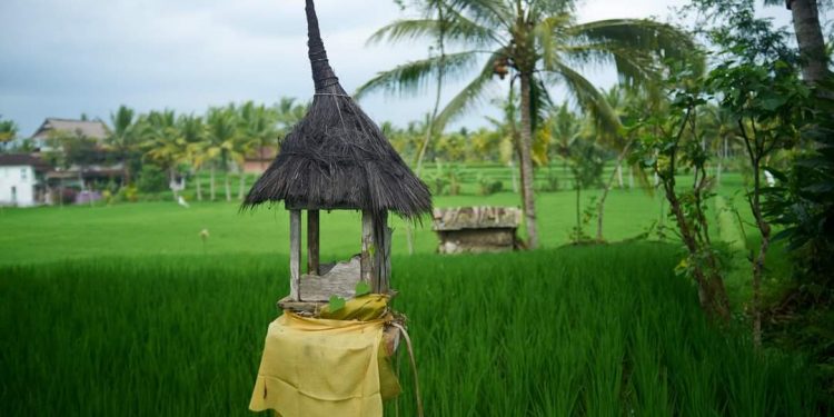 Makna Perayaan Hari Raya Soma Ribek di Bali Menurut Agama Hindu