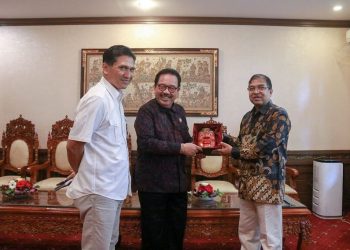 Wagub Cok Ace Terima Kunjungan Konjen India