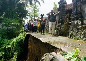 Senderan Irigrasi Subak Gombeng Kelod Nyalian Jebol, 8 Hektar Teramcam Krisis Air