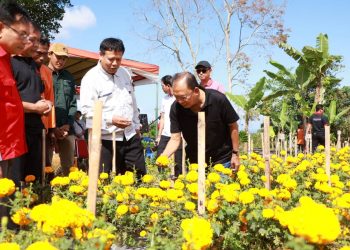 Gubernur Koster Berhasil Bikin Terobosan Kembangkan Benih Bunga Gemitir