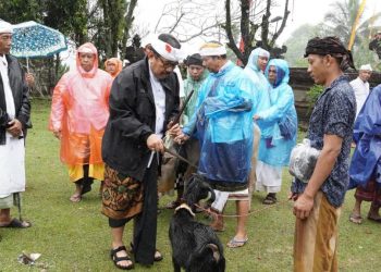 Wagub Cok Ace Hadiri Mapepada Wewalungan Jelang Puncak Karya Pujawali Pura Mandara Giri Semeru Agung