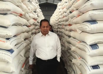 Pj. Gubernur Bali Pastikan Pasokan Beras di Bali Aman Hadapi Ancaman El Nino