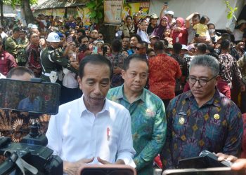 Pj Gubernur Mahendra Jaya Dampingi Presiden Jokowi Tinjau Harga Pangan di Pasar Bulan Gianyar