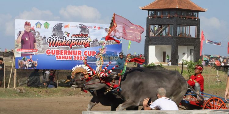 Pj. Gubernur Bali Dorong Makepung Dikembangkan dan Dikemas Sebagai Daya Tarik Wisata Budaya