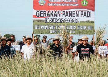 Dukung Penurunan Stunting, Pj. Gubernur Mahendra Jaya Dorong Penanaman Padi Inpari Nutri Zinc