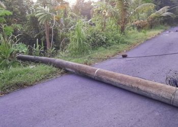 Tiang Listrik dan Pohon Tumbang, Tutup Jalan di Manggis Karangasem