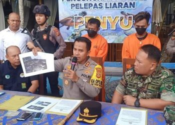 Polisi Gagalkan Penyelundupan 15 Penyu di Jembrana, Dua Pelaku Ditangkap