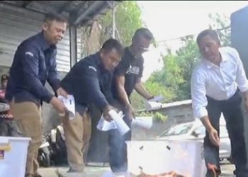 KPU Gianyar Musnahkan 4.725 Surat Suara Rusak Menjelang Pemungutan Suara