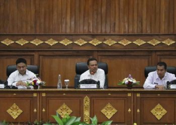 Sekda Dewa Made Indra Dorong Audit Keuangan Berbasis Digital