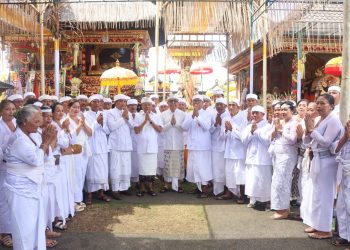 Gotong Royong dan Guyub Sukseskan Karya Ngusaba di Penatih, Gubernur Koster Cara Kita Jaga Bali Tetap Eksis dan Kokoh
