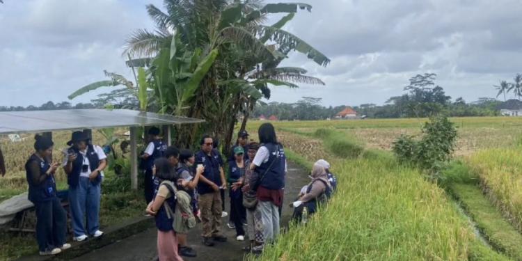 Desa Keliki Jadi Favorit Wisatawan namun Hadapi Ancaman Perubahan Fungsi Lahan