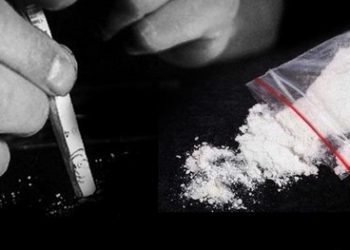 BNNP Bali Bongkar Tiga Kasus Peredaran Sabu dengan Modus Tempel di Denpasar