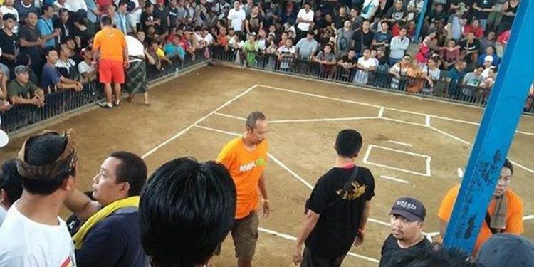 Ketua Komisi II DPRD Bali Mengusulkan Legalisasi Tajen untuk Potensi Pariwisata