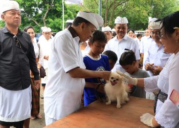 Gubernur Koster dan Jajaran Pemprov Bali Rayakan Tumpek Uye di Pura Sakenan, Lakukan Aksi Nyata Lindungi Alam