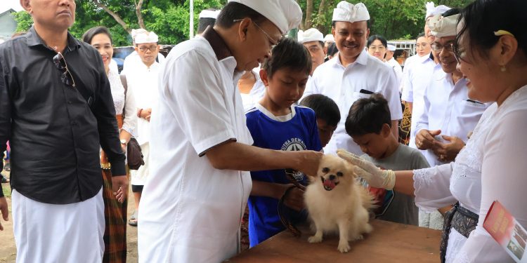 Gubernur Koster dan Jajaran Pemprov Bali Rayakan Tumpek Uye di Pura Sakenan, Lakukan Aksi Nyata Lindungi Alam